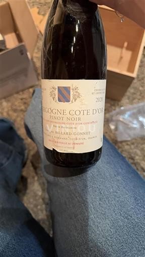 Borgogna Borgogna Côte d'Or Billardgonnet 2020