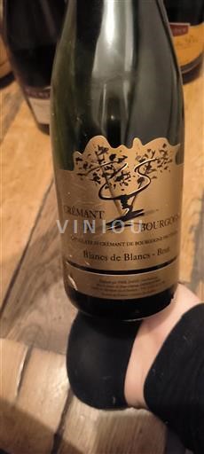 Vin Blanc brut Blancs De Blancs - Brut Non millésimé France Bourgogne Crémant-de-bourgogne