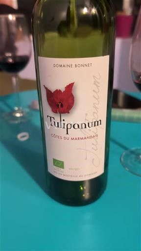 Sudoeste Côtes-du-marmandais Domaine Bonnet Tulipanum 2024