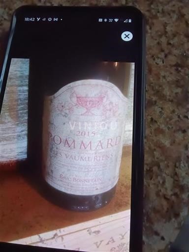 Borgogna Pommard Eric Bonnetain Les Vaumuriens 2015
