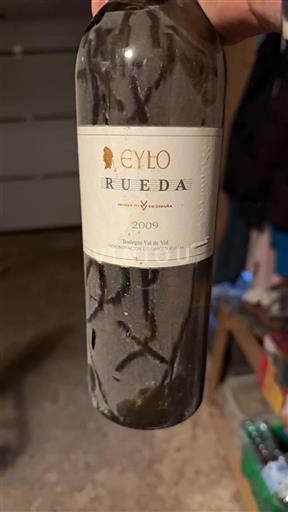 Castilië en León Rueda Bodegas Val De Vid Eylo 2009