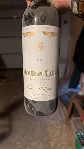 Bordeaux Bordeaux White Baron Philippe De Rothschild Mouton-Cadet 1989