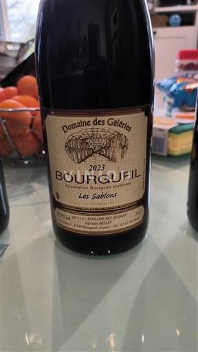 Vallée de la Loire Bourgueil Domaine Des Geleries Les Sablons 2023