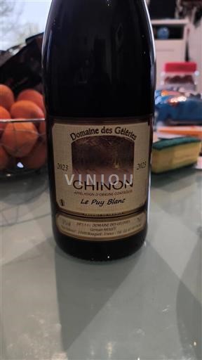 Valle della Loira Chinon Domaine Des Geleries Le Puy Blanc 2023