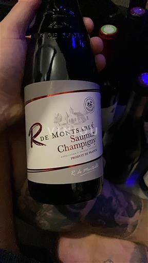 Vallée de la Loire Saumur-champigny R. De Montsable Non Millésimé