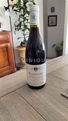 Bourgondië Pommard Premier Cru Domaine Raymond Launay Les Rugiens 1er Cru Niet-geïntegreerd