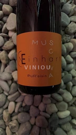 Alsace Muscat Domaine Einhart PuR’aisin 2022