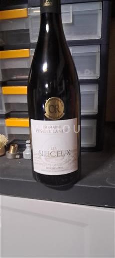 Valle del Loira Bourgueil Domaine Pitault Landry Les Silicieux Sin añada