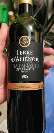 Bordeaux Niet gespecificeerd Terre Aliénor L'Absolu Merlot 2022