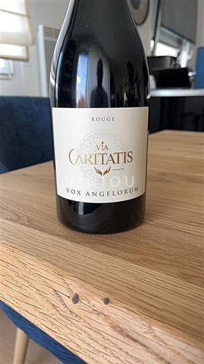 Valle del Rodano Ventoux Via Caritatis Vox Angelorum 2020