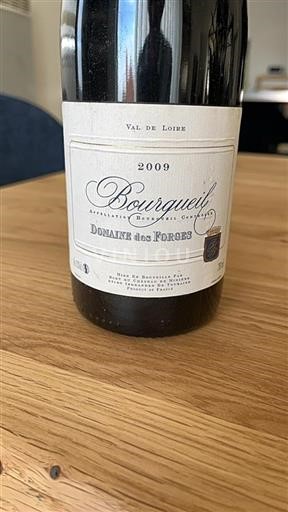 Loire Valley Bourgueil Domaine Des Forges 2009