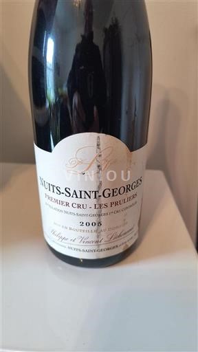 Bourgogne Nuits-Saint-Georges Premier Cru Philippe Et Vincent Lecheneaut Les Pruliers 2005