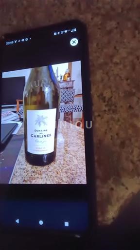 Jura Côtes-du-Jura Domaine Des Carlines Voile de Chardonnay 2018
