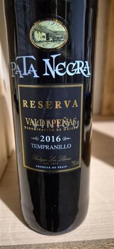 Castilië-La Mancha Valdepeñas Bodegas Los Llanos Reserva 2016