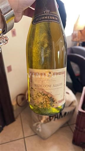 Burgundsko Bourgogne-aligoté Mommessin 2001