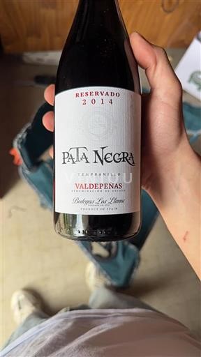 Castela-La Mancha Valdepeñas Bodegas Los Llanos Pata Negra 2014
