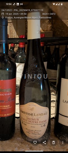 Loire Valley Saumur Aristide Luneau Le Puy Notre Dame 2015