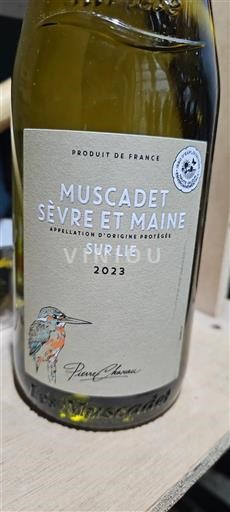Valle della Loira Muscadet Sèvre et Maine Pierre Chainier 2023