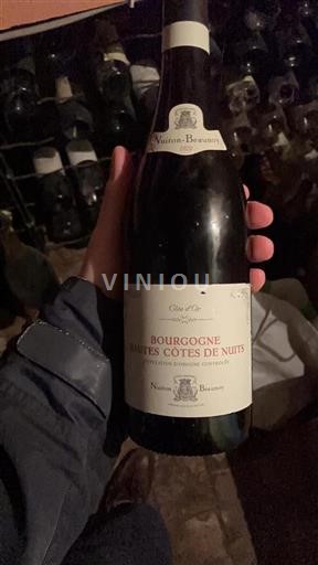 Borgogna Hautes Côtes de Nuits Nuitonbeaunoy 2020