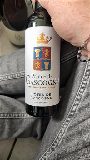 Sudoeste Côtes de Gascogne Prince De Gascogne Terroir d'Excellence Não Sazonado