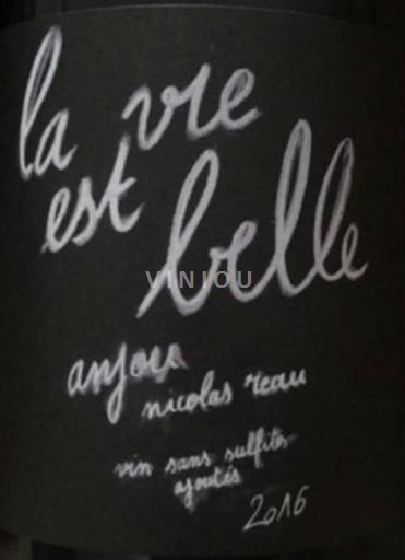 Vallée de la Loire Anjou Nicolas Réau La vie est belle 2016