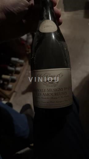 Bourgogne Chambolle-Musigny Premier Cru Domaine La Pousse Or Les Amoureuses 2009