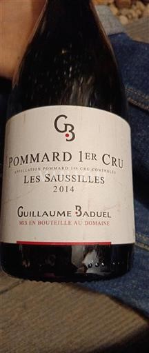 Burgundija Ni doloceno Premier Cru Domaine Guillaume Baduel Les Saussilles 2014