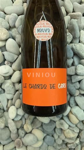 Borgogna Coteaux borgognoni Domaine Trouillet Le chardo de Caro 2023