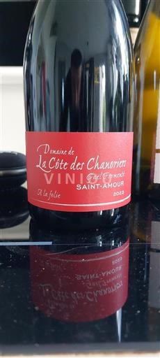 Beaujolais Saint-Amour Domaine La Côte Des Chanoriers A la folie 2023