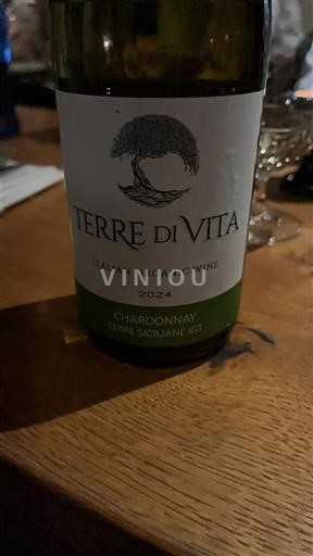 Vin Blanc sec Terre Di Vita 2024 Italie Sicile