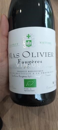 Languedoque Faugères Mas Olivier Não Sazonado