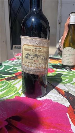 Bordéus Lalande-de-Pomerol Tour De Bessan 1994