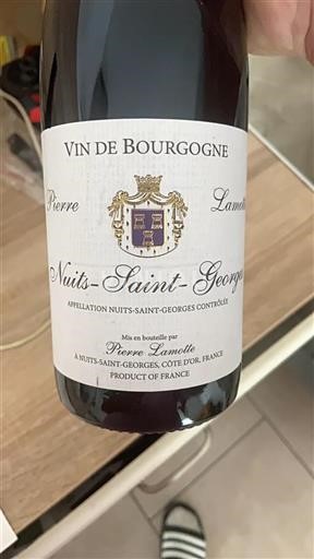Burgundija Nuits-Saint-Georges Pierre Lamotte Neleten.