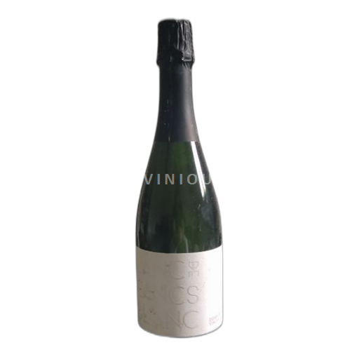 Champagne Domaine Des Vergnades Non Millésimé