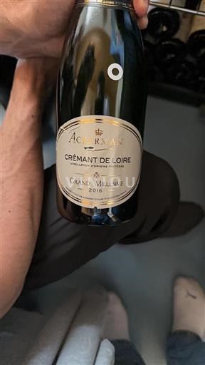 Vallée de la Loire Crémant-de-loire Ackerman Grand Millésime 2016