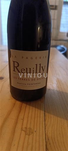 Vallée de la Loire Reuilly Domaine La Pagerie Les Terres de Silice Non Millésimé