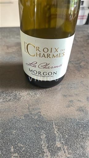 Beaujolais Morgon Domaine La Croix Des Charmes Les Charmes 2017