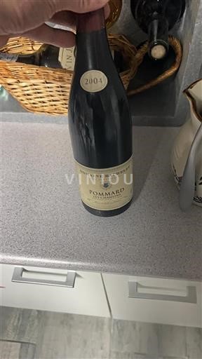 Bourgondië Pommard Domaine Bachelet Les Chanlins 2004