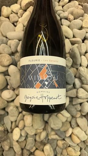 Beaujolais Fleurie Domaine Grégoire Hoppenot Fleurie 2022