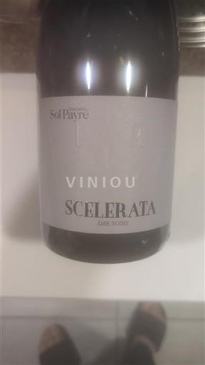 Roussillon Côtes-du-Roussillon Domaine Sol Payré Scelerata 2022