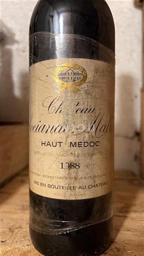 Bordeaux Haut-Médoc Sociandomallet 1988