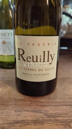 Vallée de la Loire Reuilly Domaine La Pagerie Les Terres de Silice Non Millésimé