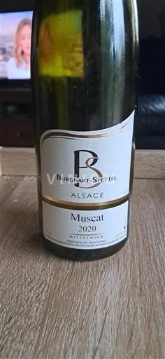 Alsace Burghart-spettel 2020