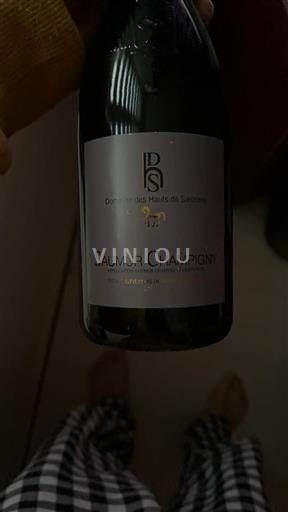 Vallée de la Loire Saumur-champigny Domaine Des Hauts De Sanzay 2015