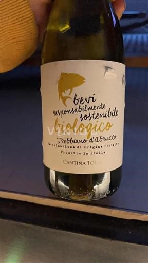 Abruzzo Trebbiano d'Abruzzo Cantina Tollo Bevi Responsabilmente Sostenibile Biologico 2020