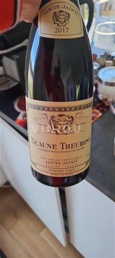 Bourgogne Premier Cru Domaine Louis Jadot Beaune Theurons 2017
