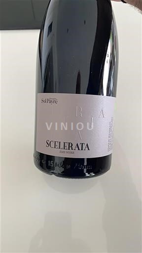Roussillon Côtes-du-roussillon Domaine Sol Payré Scelerata Âme Noire 2022