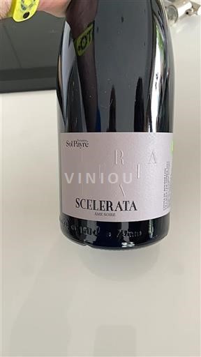 Roussillon Côtes-du-roussillon Domaine Sol Payré Scelerata Âme Noire 2022