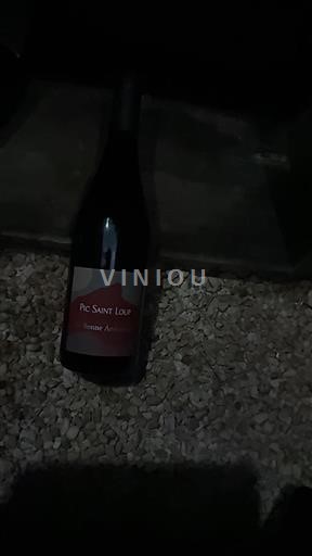 Languedoc Pic-saint-loup La Bonne Ambiance 2022