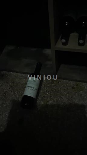 Zuidwest-Frankrijk Madiran Terroirs De Tursan 2019